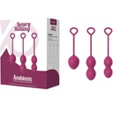 ARMONY - ANABIOSIS VAGINAL DUMBBELL 3 NÃVEIS BORGONHA